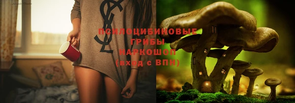 мяу мяу мука Кулебаки
