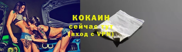 мяу мяу мука Кулебаки