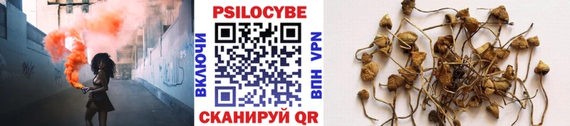 Псилоцибиновые грибы Psilocybe  Купить где  Зима 